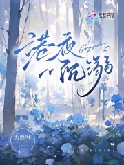 港珠澳大桥口岸发生打人事件